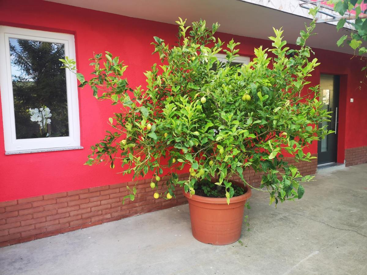 בפורטורוז Apartments Zimerman מראה חיצוני תמונה